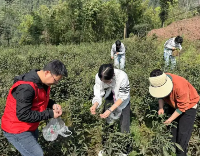 劳动教育依然是大学生成长路上不可或缺的养分 劳动教育依然是大学生成长路上不可或缺的养分