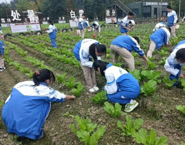 课后作业到学业评价全面分层让每一位学生都能适配自身学习节奏 课后作业到学业评价全面分层让每一位学生都能适配自身学习节奏